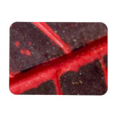 Hawaiian Variegated Red Leaf Magneet (Horizontaal)