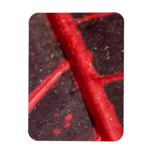 Hawaiian Variegated Red Leaf Magneet (Verticaal)