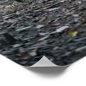 Hawaiian Wandelpad Poster (Hoek)