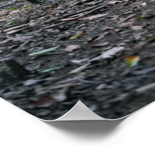 Hawaiian Wandelpad Poster (Hoek)