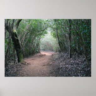 Hawaiian Wandelpad Poster