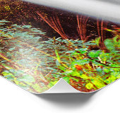 Hawaiian Waterfall Foto Afdruk (Hoek)