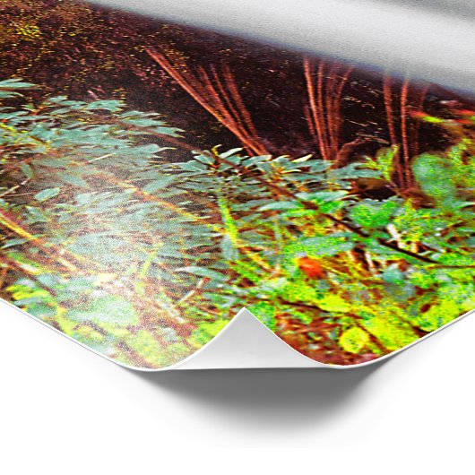 Hawaiian Waterfall Foto Afdruk (Hoek)