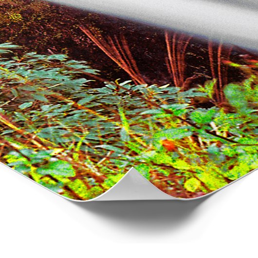 Hawaiian Waterfall Poster (Hoek)