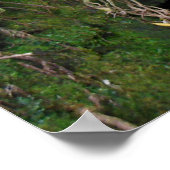 Hawaiian Waterfall Poster (Hoek)