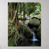 Hawaiian Waterfall Poster (Voorkant)