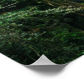 Hawaiian Waterfall Poster (Hoek)