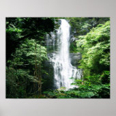 Hawaiian Waterfall Poster (Voorkant)