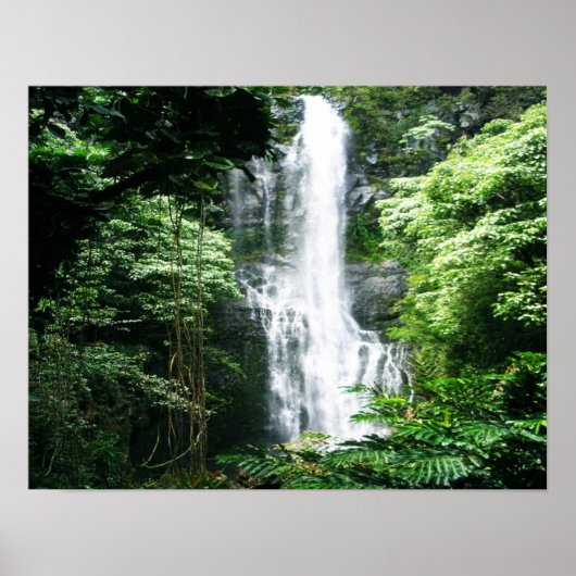 Hawaiian Waterfall Poster (Voorkant)
