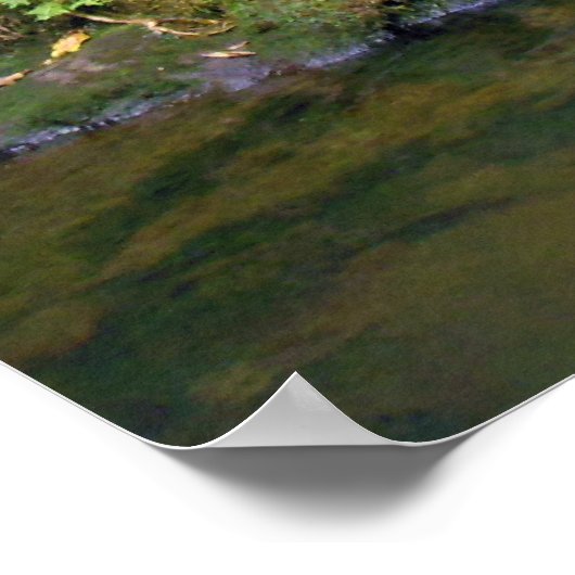 Hawaiian Waterfall Poster (Hoek)