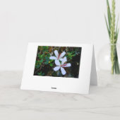 Hawaiian Wedding Best wil White Hibiscus Kaart (Achterkant)