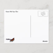 Hawaiian White Ginger Flower Briefkaart (Achterkant)