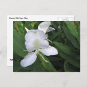 Hawaiian White Ginger Flower Briefkaart (Voorkant / Achterkant)