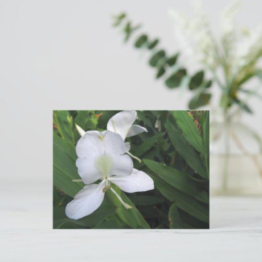 Hawaiian White Ginger Flower Briefkaart (Staand voorkant)