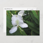 Hawaiian White Ginger Flower Briefkaart (Voorkant / Achterkant)
