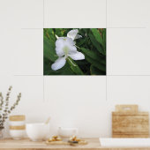 Hawaiian White Ginger Flower Poster (Keuken)