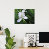 Hawaiian White Ginger Flower Poster (Thuiskantoor)