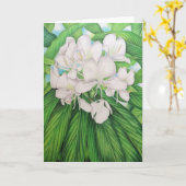 Hawaiian White Ginger Kaart (Gele Bloem)