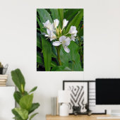 Hawaiian White Ginger Poster (Thuiskantoor)