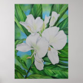 Hawaiian White Ginger Poster (Voorkant)