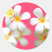 Hawaiian white plumeria flower pink ronde sticker (Voorkant)