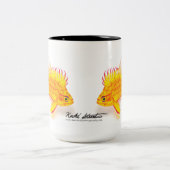 Hawaiian Yellow Anthias, Holanthias fuscipinnis Tweekleurige Koffiemok (Center)