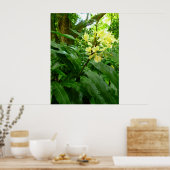 Hawaiian Yellow Ginger Poster (Keuken)