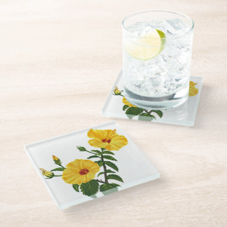 Hawaiian yellow hibiscus Botanical illustration Glazen Onderzetter
