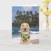  Hawaiian Yellow Lab Verjaardag Kaart (Gele Bloem)