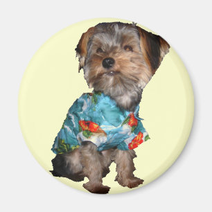 Hawaiian Yorkie Magneet