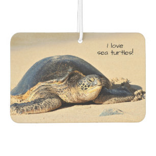 Hawaiian Zee Turtle Air Freshner Luchtverfrisser