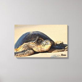 Hawaiian Zee Turtle Canvas Print