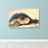 Hawaiian Zee Turtle Canvas Print (Insitu (Houten vloer))