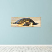 Hawaiian Zee Turtle Canvas Print (Insitu (Houten vloer))