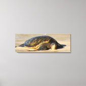 Hawaiian Zee Turtle Canvas Print (Voorkant)