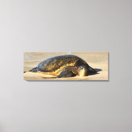 Hawaiian Zee Turtle Canvas Print