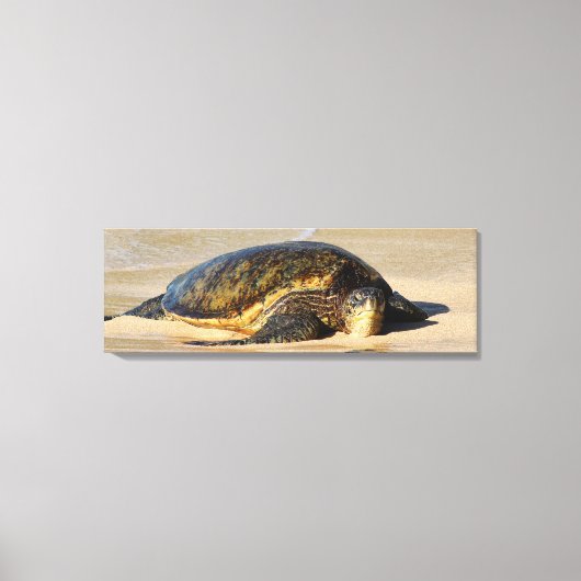 Hawaiian Zee Turtle Canvas Print (Voorkant)
