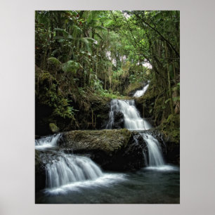 HAWAII'S ONOMEA-HERFSTEN POSTER