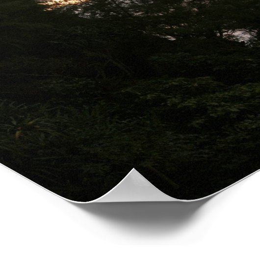 Hawaiitisch zonnepanoramisch poster (Hoek)