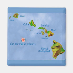 Hawaiitische eilanden magnet