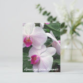 hawaiitische orchideeën briefkaart (Staand voorkant)
