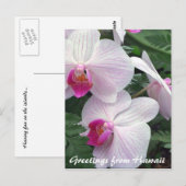 hawaiitische orchideeën briefkaart (Voorkant / Achterkant)