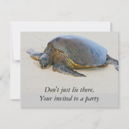 Hawaiitische schildpad kaart