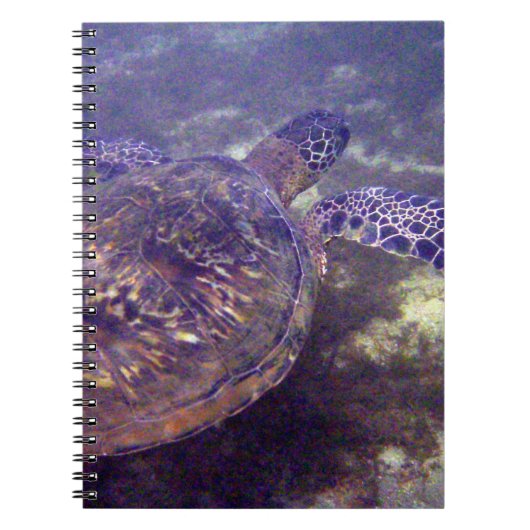 Hawaiitische zeeen schildpadden notitieboek (Voorkant)