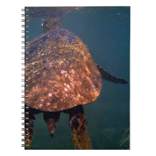 Hawaiitische zeeen schildpadden notitieboek (Voorkant)