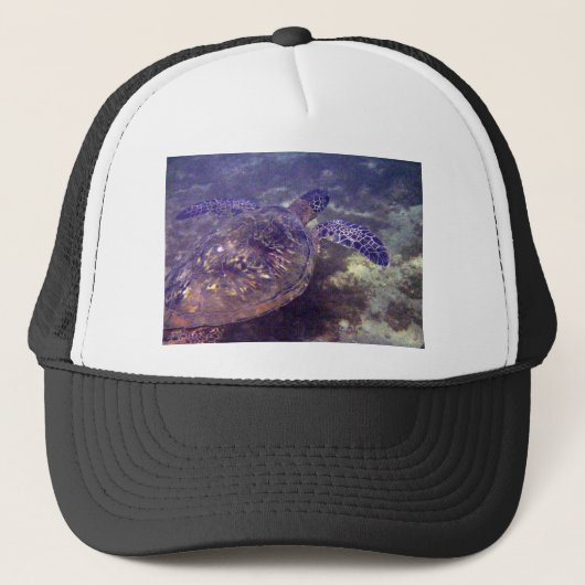 Hawaiitische zeeen schildpadden trucker pet (Voorkant)