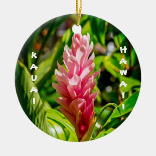 Hawaï's Plumeria and Ginger in Pink Keramisch Ornament (Voorkant)