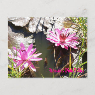 Hawaï's roze Lillies Briefkaart