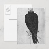 Hawk aan de hand briefkaart (Voorkant / Achterkant)
