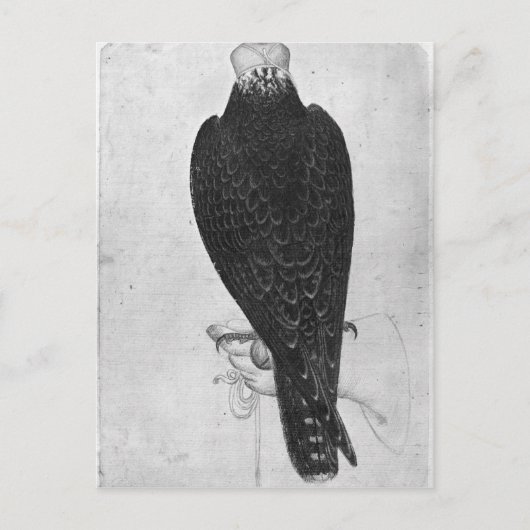 Hawk aan de hand briefkaart (Voorkant)
